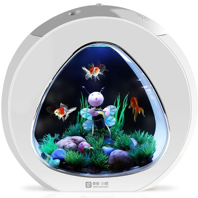 Discover Tranquility with Our Desktop Fish Tank Aquarium